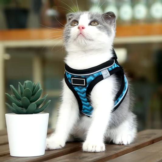 Cat Harness and Leash Set - Reflective Breathable Mesh Vest for Small Dogs, Puppies, and Kittens