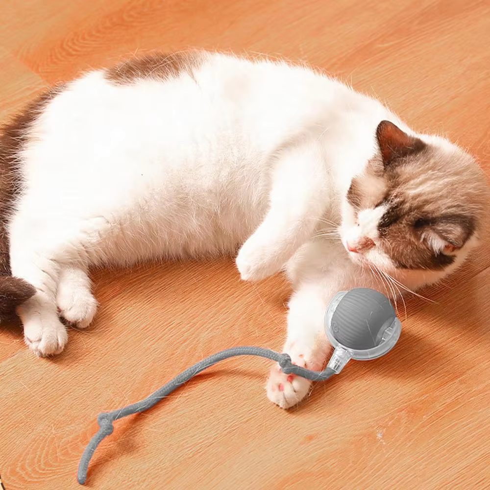 Cat Interactive Ball Toys Automatic Rolling Ball Faux Tail Rechargeable Smart Pet Electric Toy Dog Cat Training Imitate Mouses